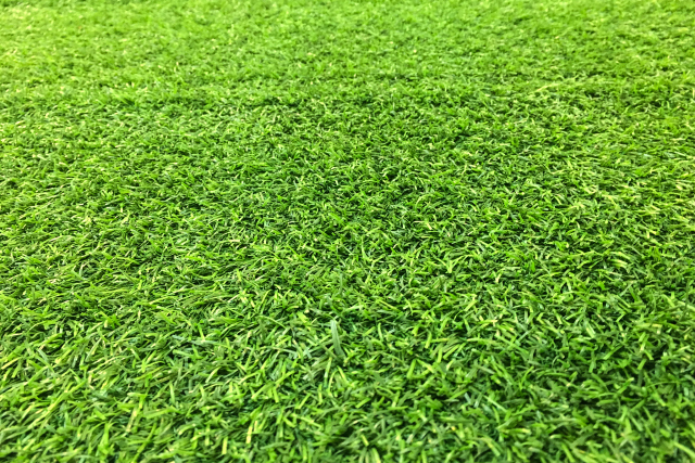 人造草坪足球场质保期