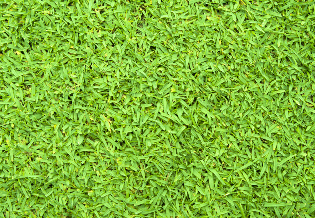 人造草坪适用范围